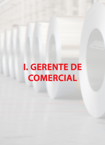 I. Gerente de Comercial